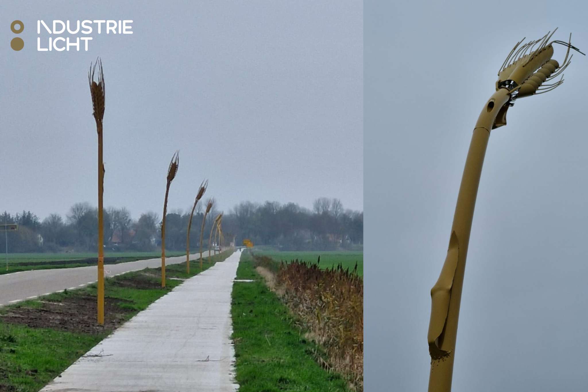 Uitgelicht project – Lichtkunstwerk Ziedewind