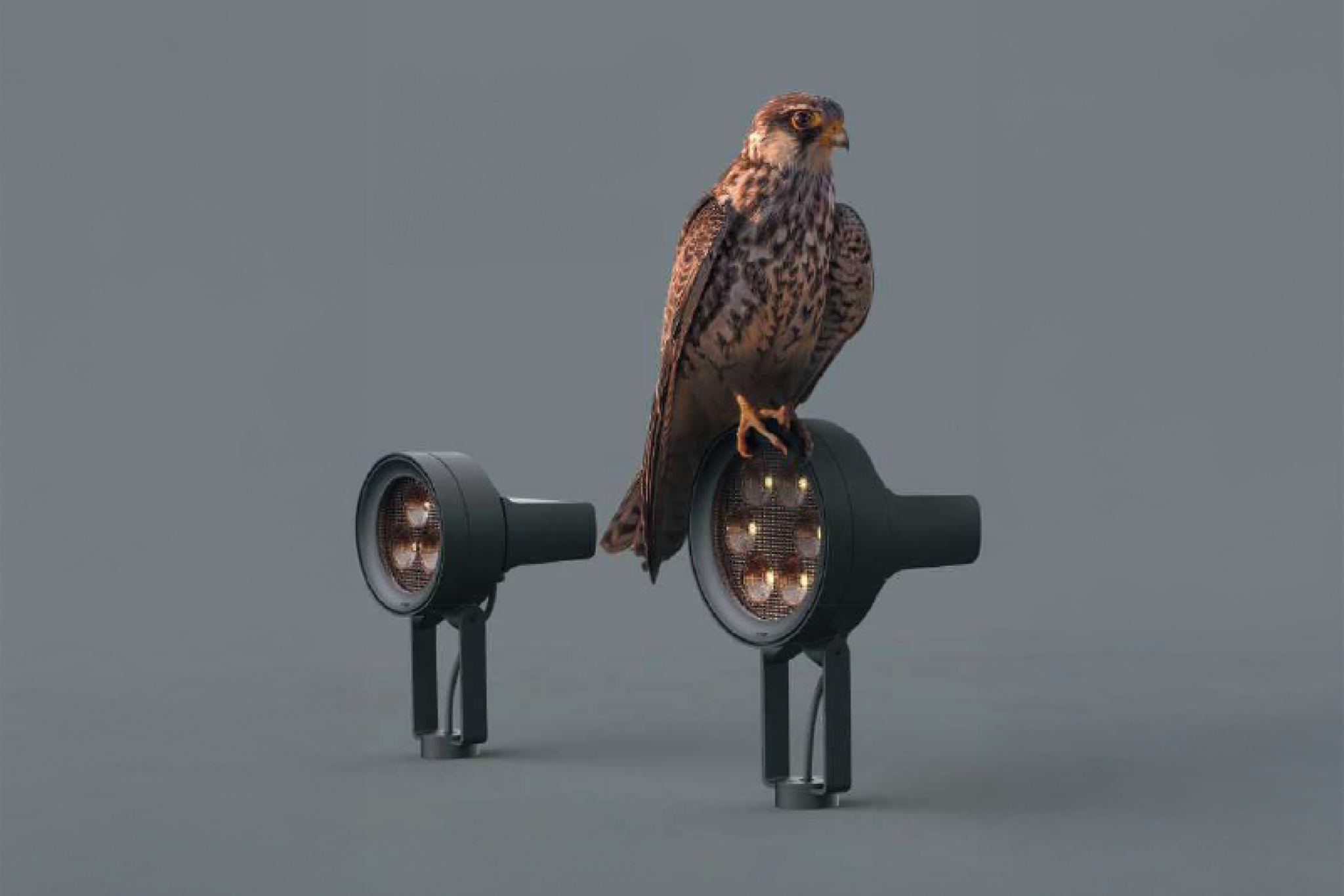 falko led-collectie