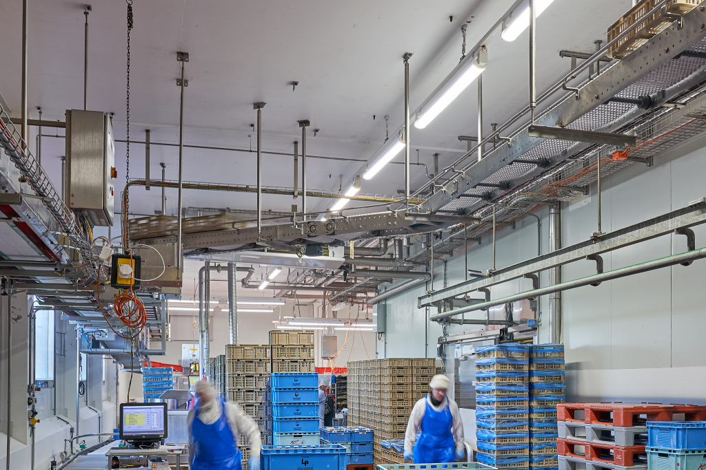 norka led renokit in fabriek