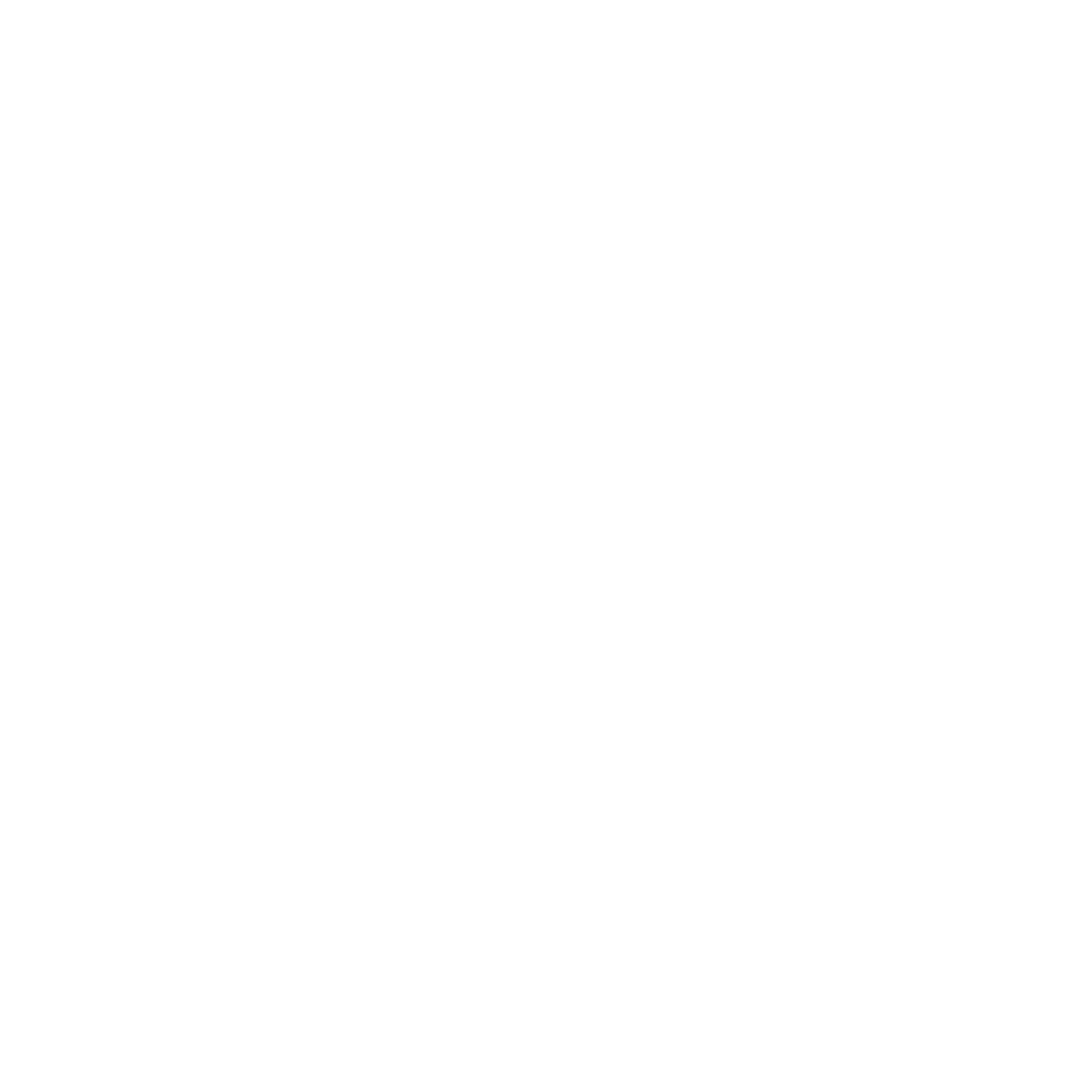 ipv-delft-logo-wit
