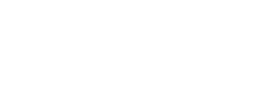 istimewa_stork_logo_wit