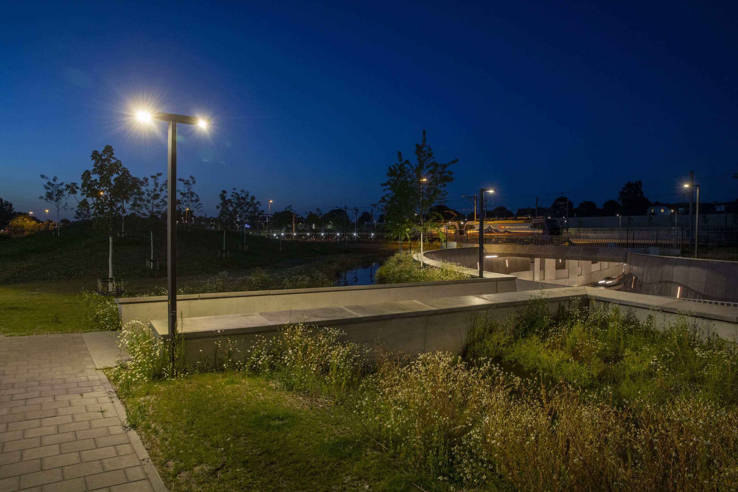 Lichtproject Vierpaardjes Venlo
